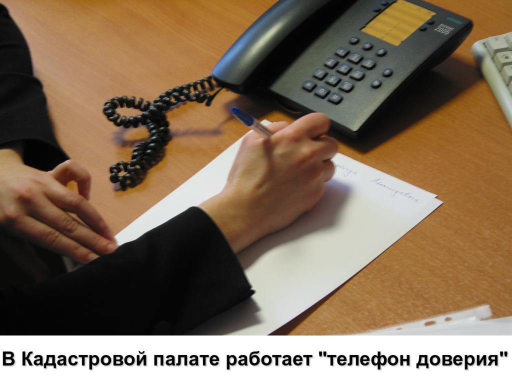 В Кадастровой палате работает «телефон доверия»