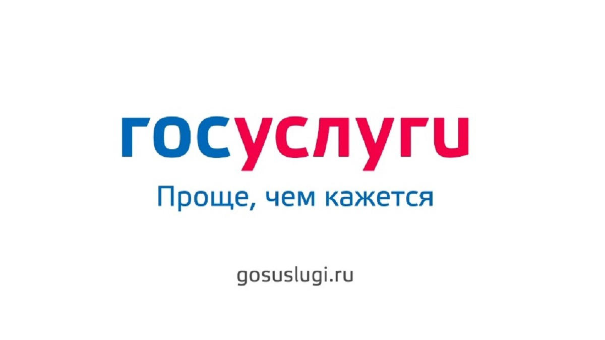 Госуслуги - проще чем кажется! Услуги ГИБДД в электронной форме Госуслуги - проще чем кажется! Услуги ГИБДД в электронной форме