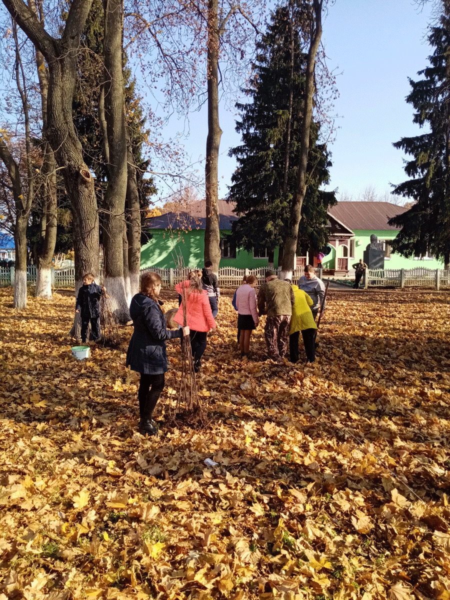 Зачем нужны деревья Зачем нужны деревья