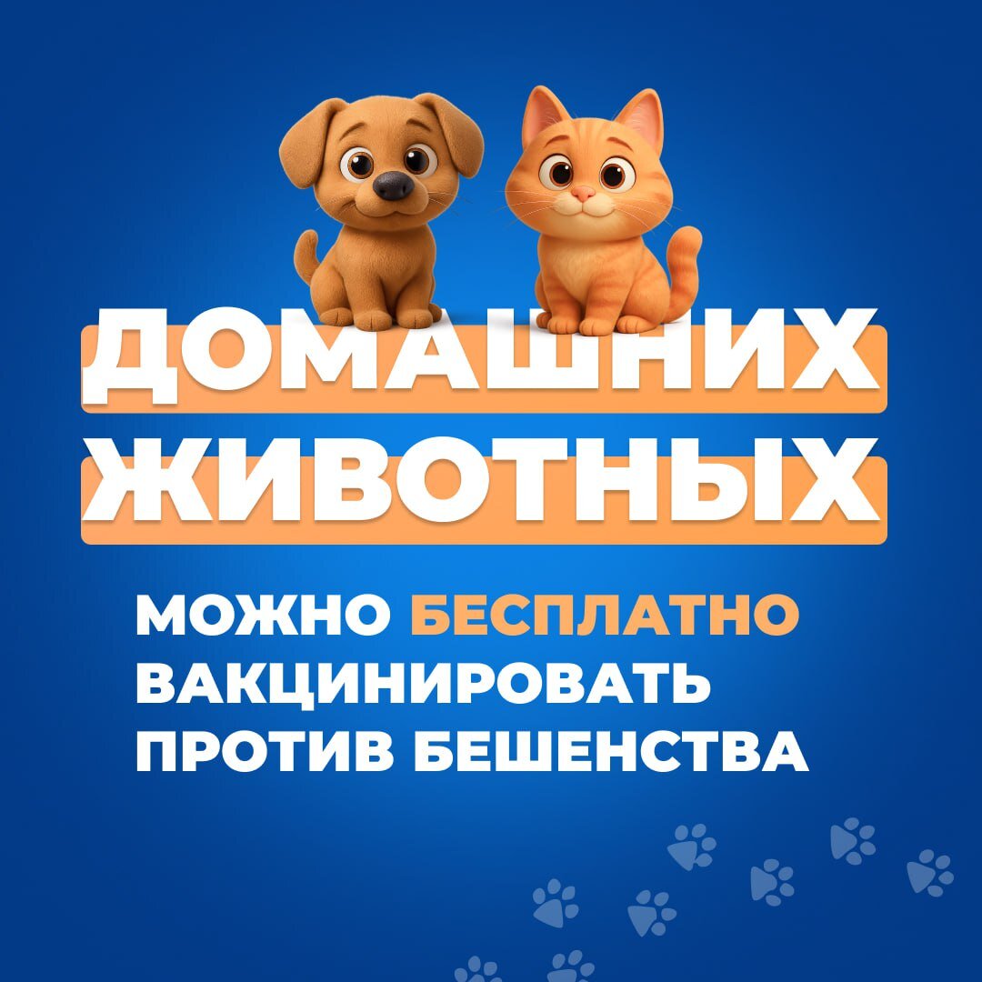 О необходимости проведения профилактической вакцинации против бешенства домашних животных